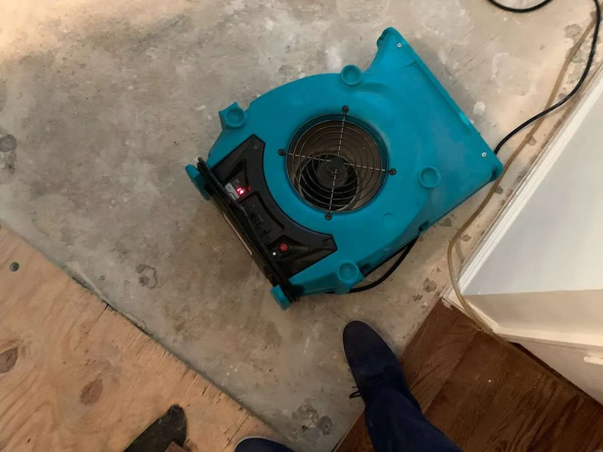 Air mover drying subfloor during Leak Detection & Repair in German Flatts